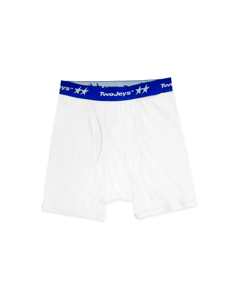 ICON BOXER BRIEFS