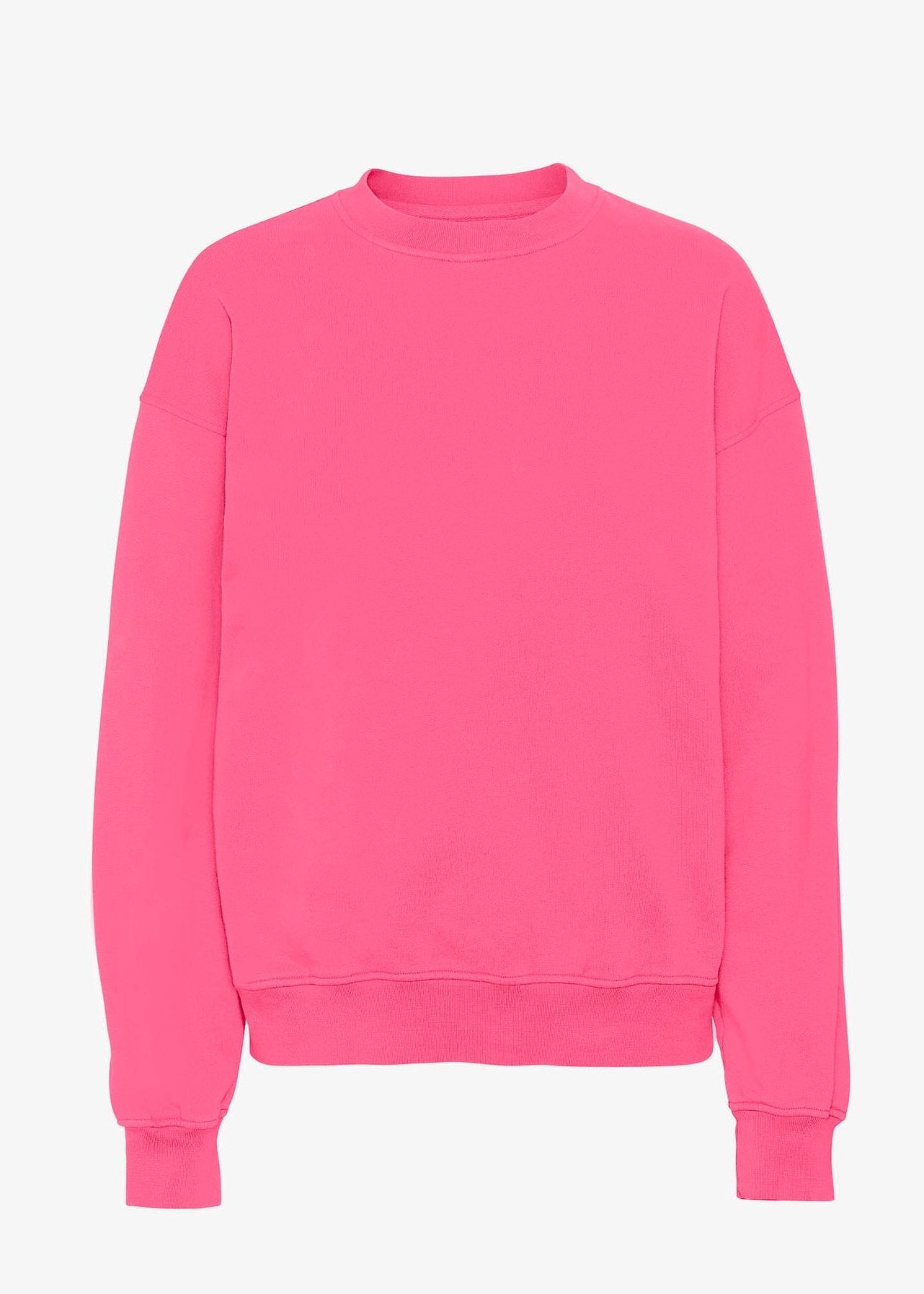 COLORFUL STANDARD SWEATSHIRT