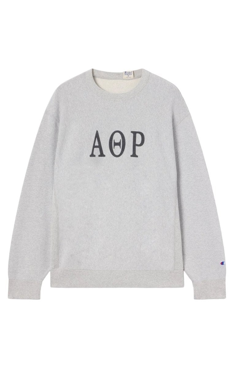 TR ICONIC REVERSIBLE CREWNECK SWEATSHIRT | CHAMPION PINNACLE