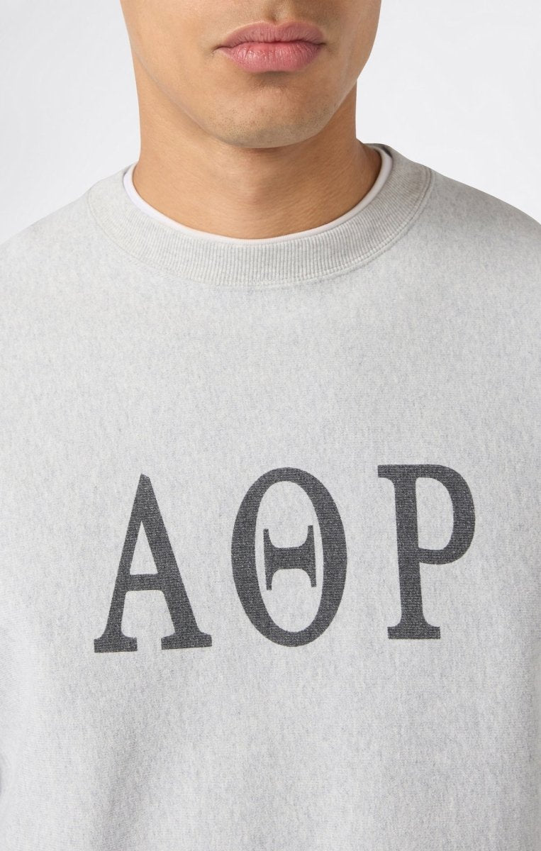 TR ICONIC REVERSIBLE CREWNECK SWEATSHIRT | CHAMPION PINNACLE