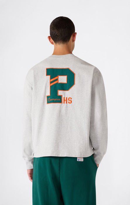 TR STIFF V-NECK SWEATSHIRT GREY | CHAMPION PINNACLE